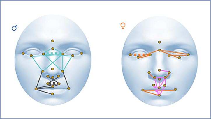 Descriuen la relació entre la morfologia facial i les mesures del còrtex cerebral en pacients amb esquizofrènia i trastorn bipolar