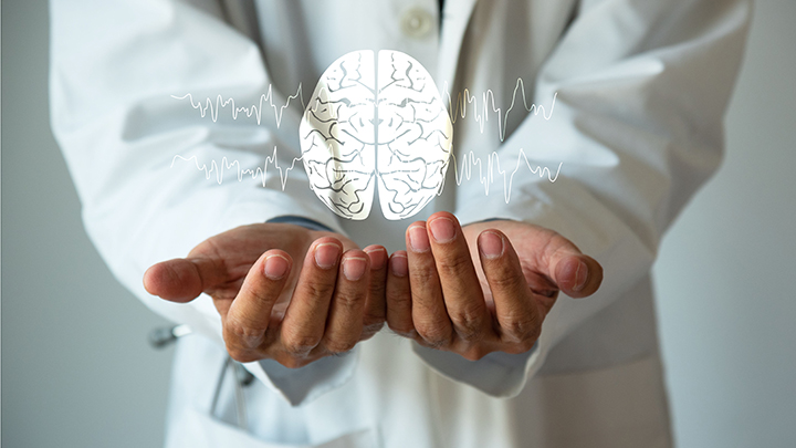 Un estudio de la UB e IDIBELL identifica en humanos un mecanismo neurofisiológico clave en la formación de recuerdos