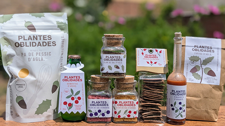 Plantes Oblidades, un projecte per impulsar l’ús de recursos alimentaris forestals 